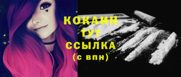 ГАЛЛЮЦИНОГЕННЫЕ ГРИБЫ Костерёво