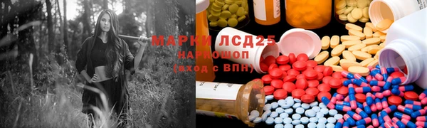 ГАЛЛЮЦИНОГЕННЫЕ ГРИБЫ Костерёво
